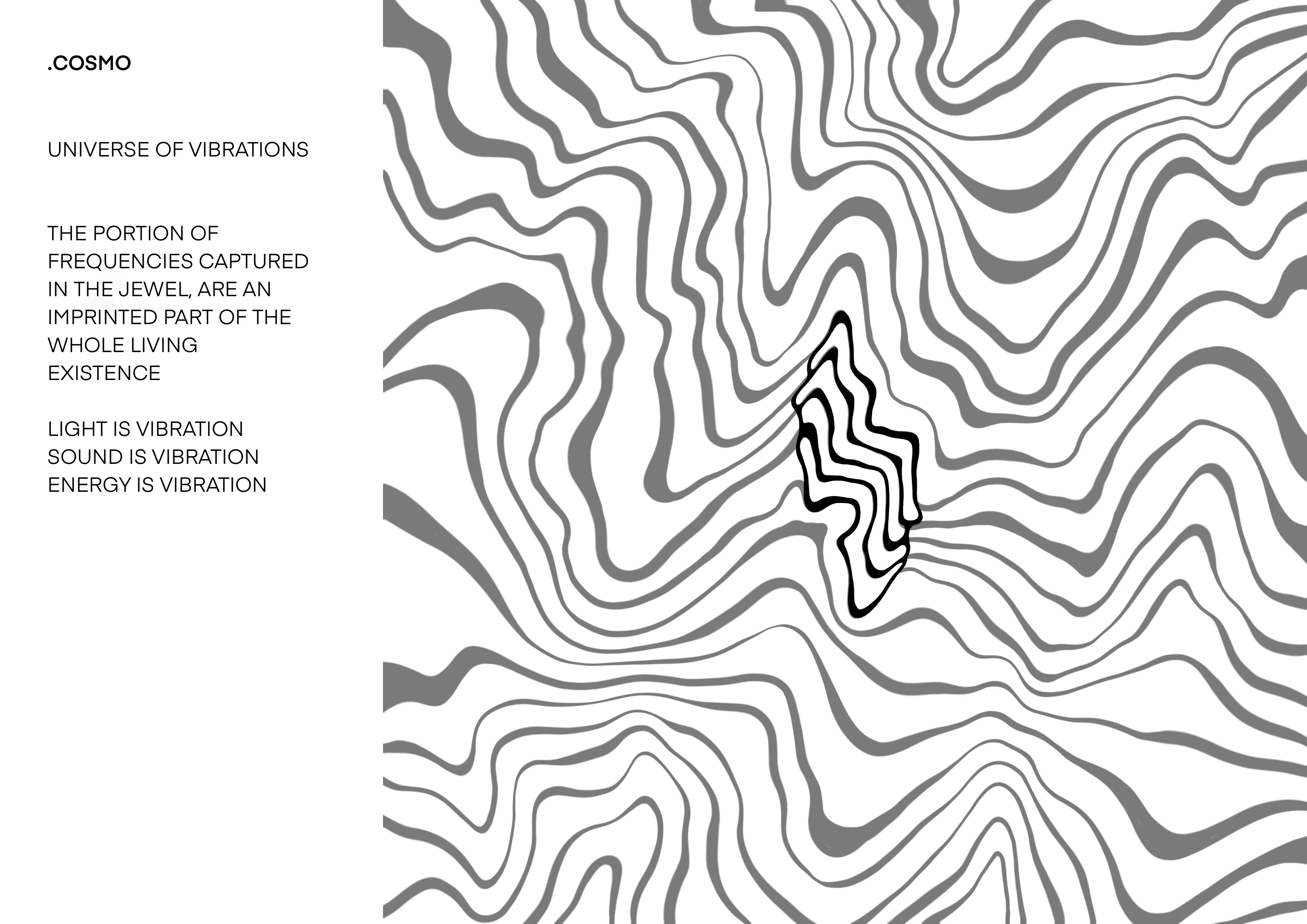 PROGETTO JEWELS FOTO